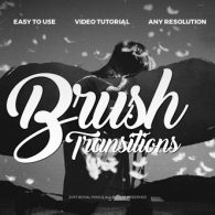 Paint Brush Transitions