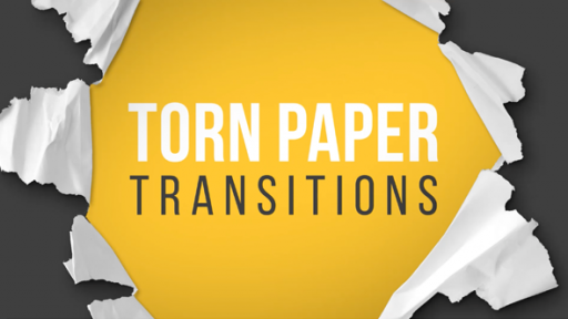 Torn Paper Transitions Reveal Pack