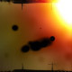 Transiciones Glitch - 102