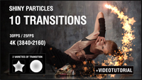 Christmas Snowflakes Transitions Vol.1 - 3