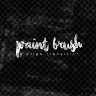 Paint Transitions