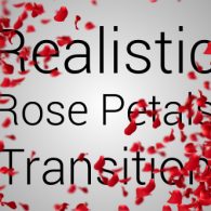 Realistic Rose Petals Transition