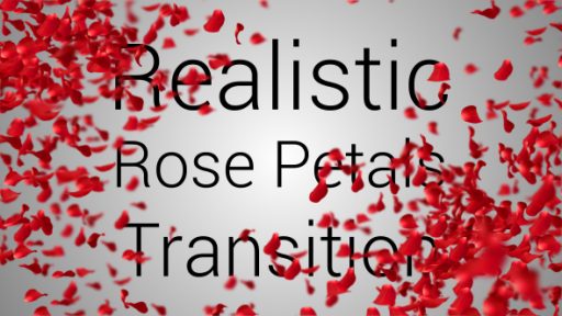 Realistic Rose Petals Transition