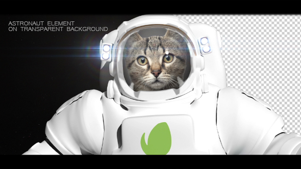 Astronaut 1 Astronaut