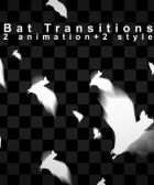 Bat Transitions