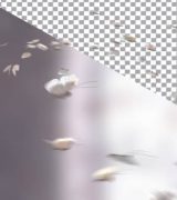 Butterflies Element