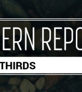 Modern Report Lower Thirds